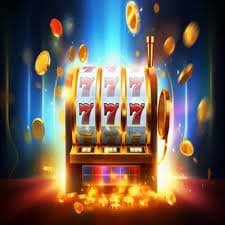 dbbet app